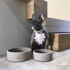 Exklusiver Hunde-Futter & Wasser-Napf S/M Dogahaves