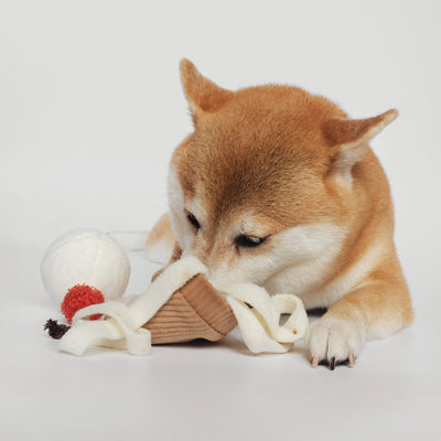 Lambwolf Collective ICE CREAM POP mit Quietsch-Ball & Schnüffelspielzeug