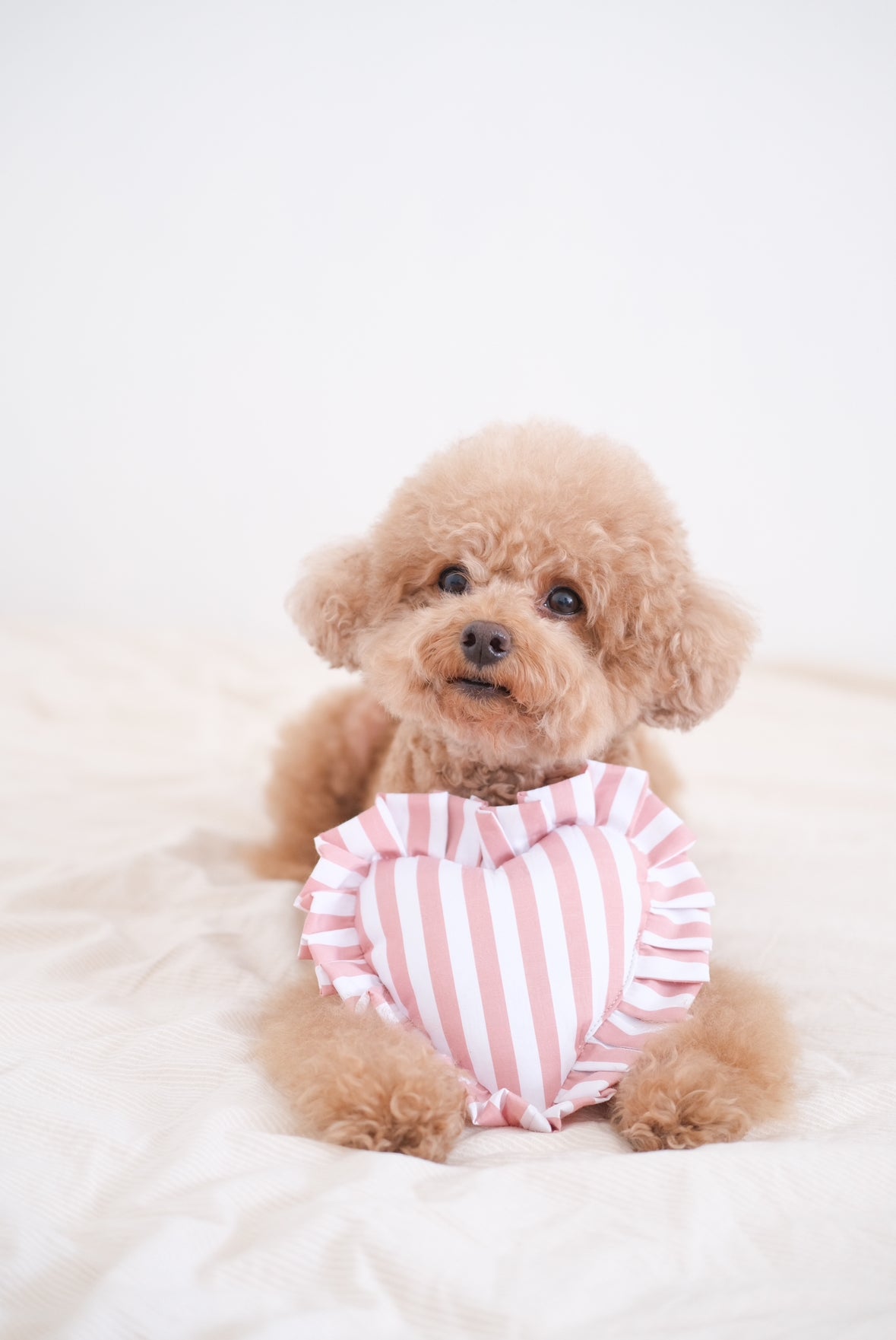 Lambwolf Herz Quietscher groß - BITANGELHOMES