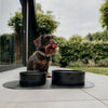 Exklusiver Hunde-Futter & Wasser-Napf S/M & M/L Dogahaves