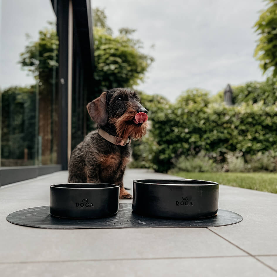 Exklusiver Hunde-Futter & Wasser-Napf S/M & M/L Dogahaves - BITANGELHOMES