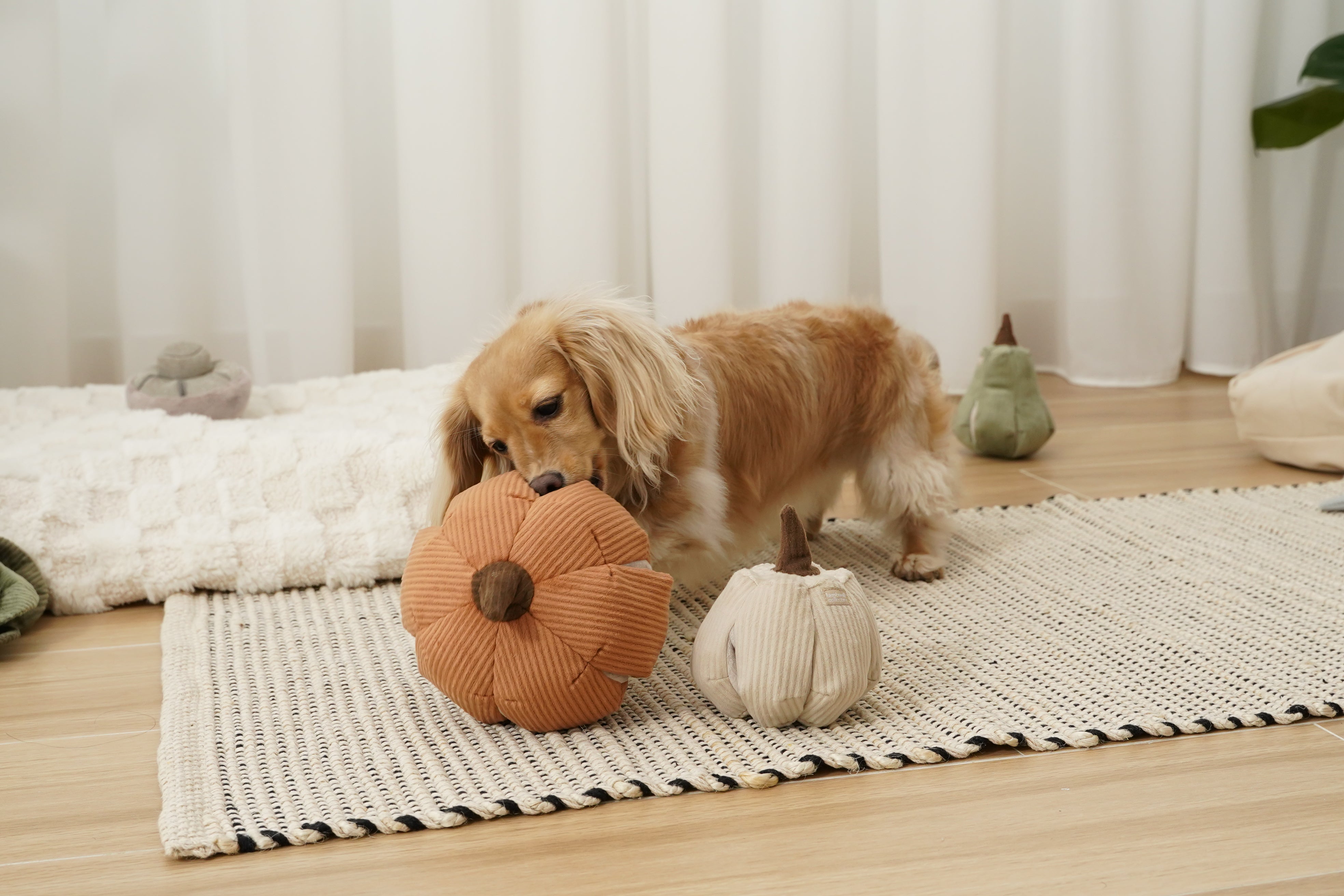 Lambwolf Collective Schnüffel-Kürbis mit Quietscher & Leckerchen-Versteck orange - BITANGELHOMES