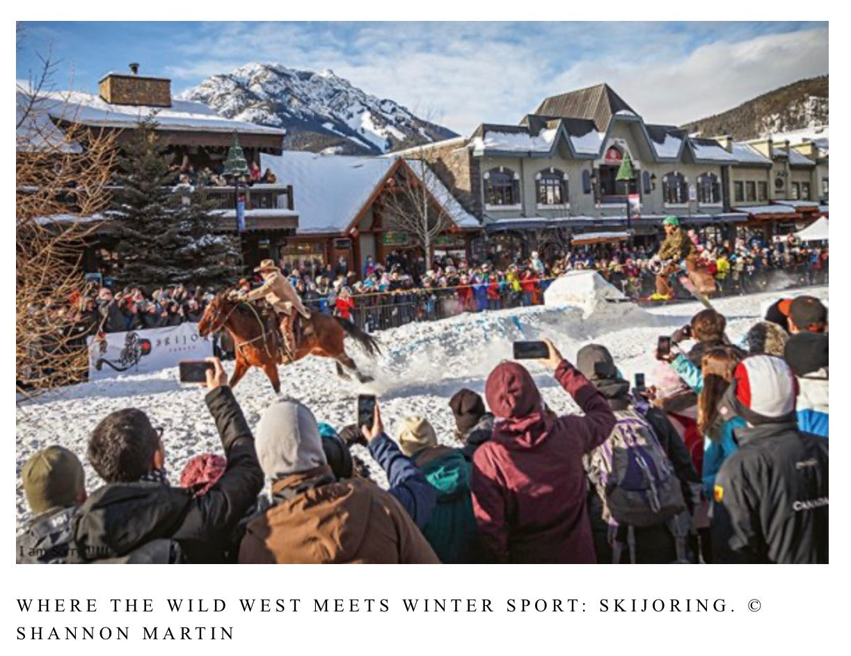 The Art of Skiing. Die schönsten Pisten der Welt - BITANGELHOMES