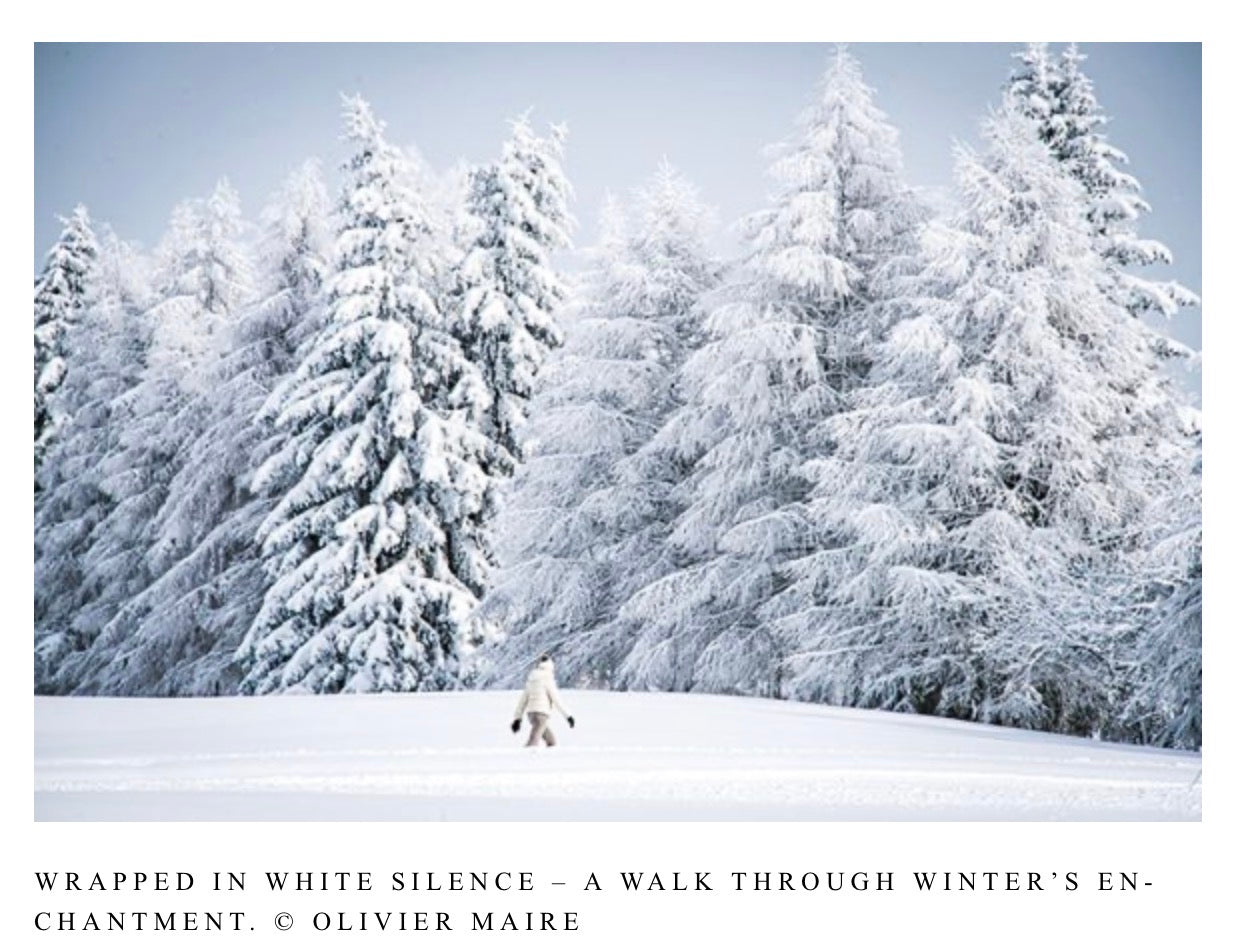 The Art of Skiing. Die schönsten Pisten der Welt - BITANGELHOMES