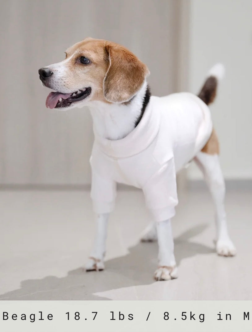 Lambwolf Collective POLAR Fleece-Pullover für Hunde in xs-xxl - BITANGELHOMES