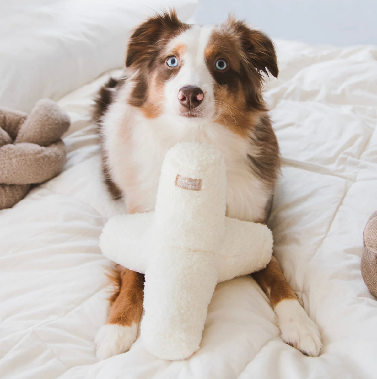 Lambwolf Collective O BREUER Mono-Boucle mit Quietscher anthrazit - BITANGELHOMES