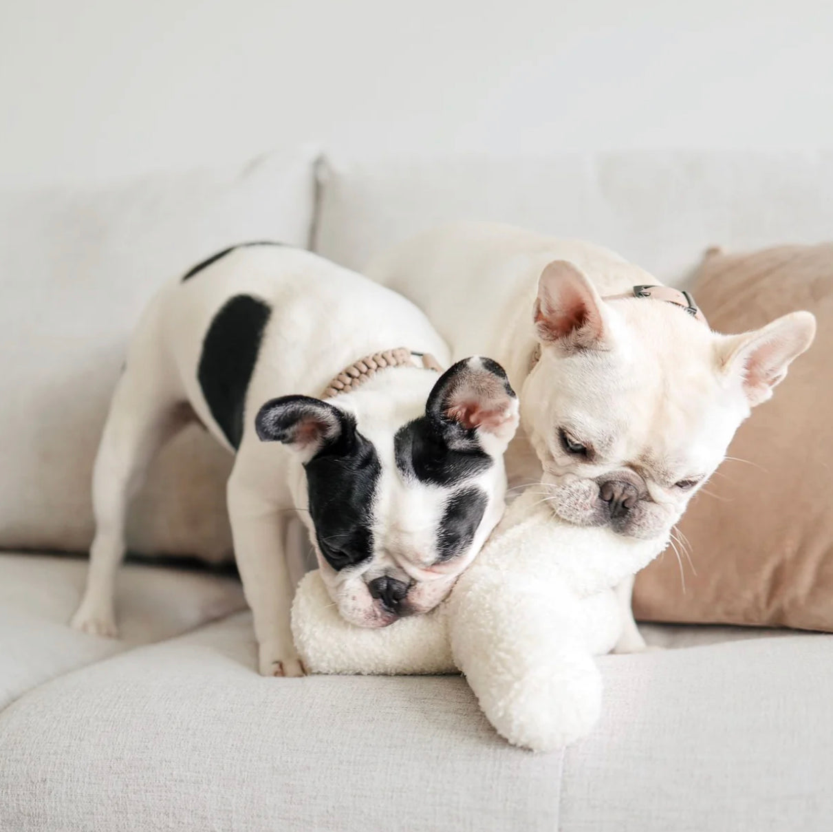 Lambwolf Collective O BREUER Mono-Boucle mit Quietscher anthrazit - BITANGELHOMES