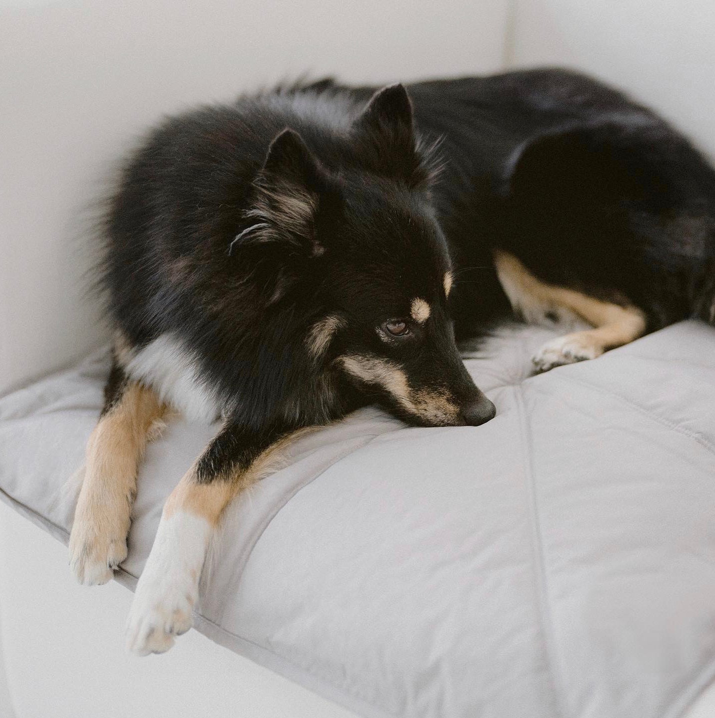 Lambwolf Collective ORII Ultraleichte Reisematte in S- L - BITANGELHOMES