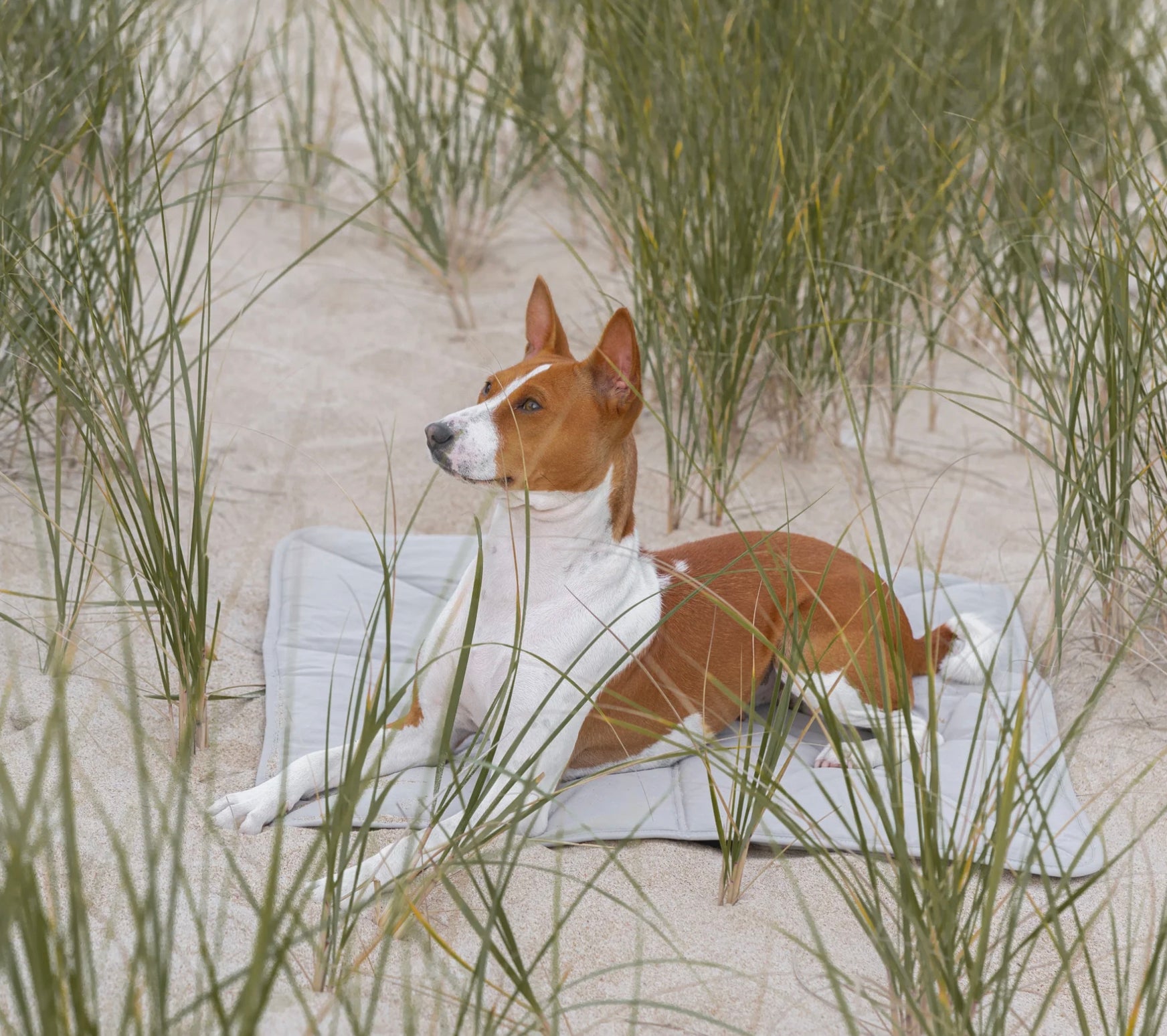 Lambwolf Collective ORII Ultraleichte Reisematte in S- L - BITANGELHOMES