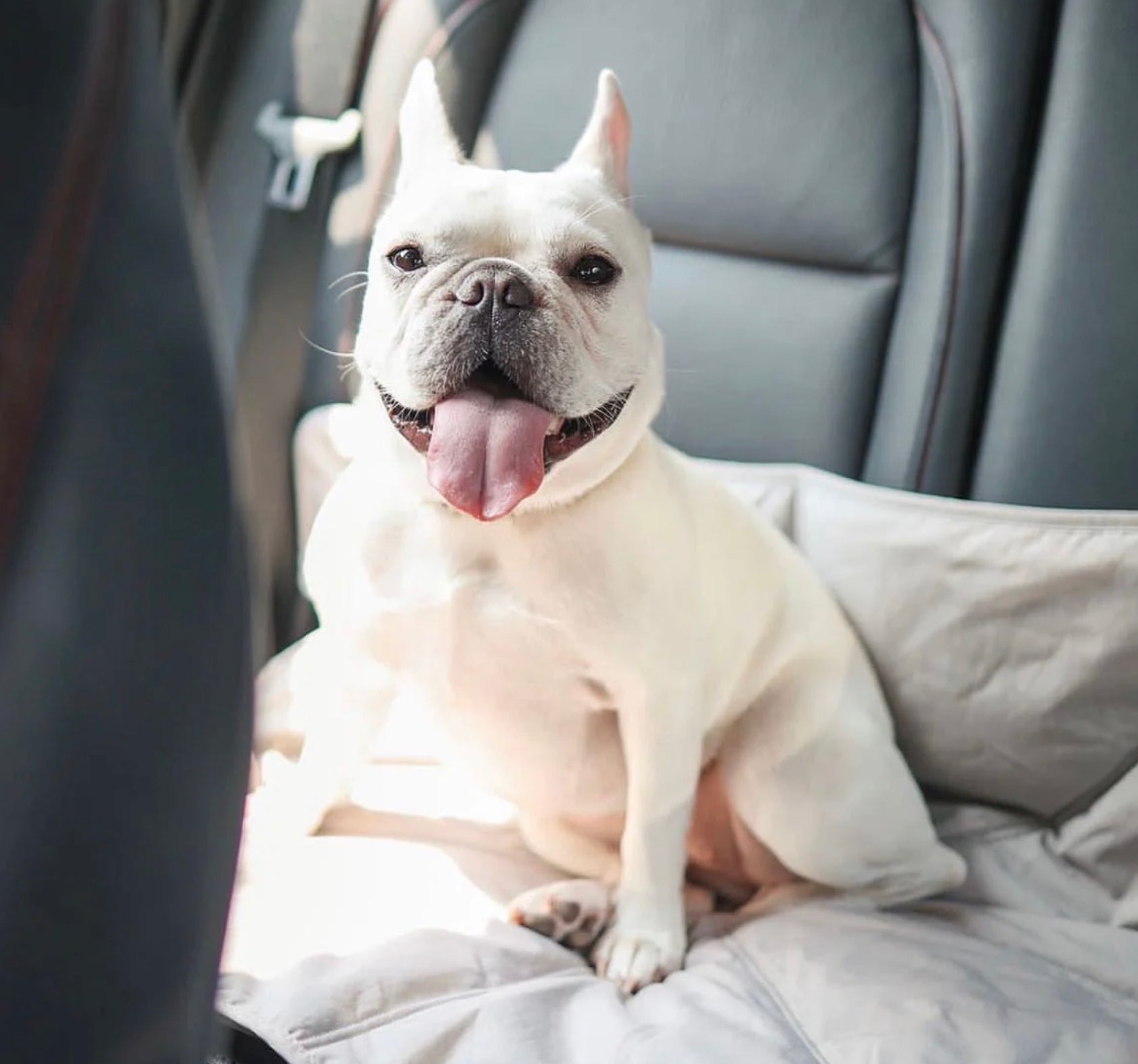 Lambwolf Collective ORII Ultraleichte Reisematte in S- L - BITANGELHOMES