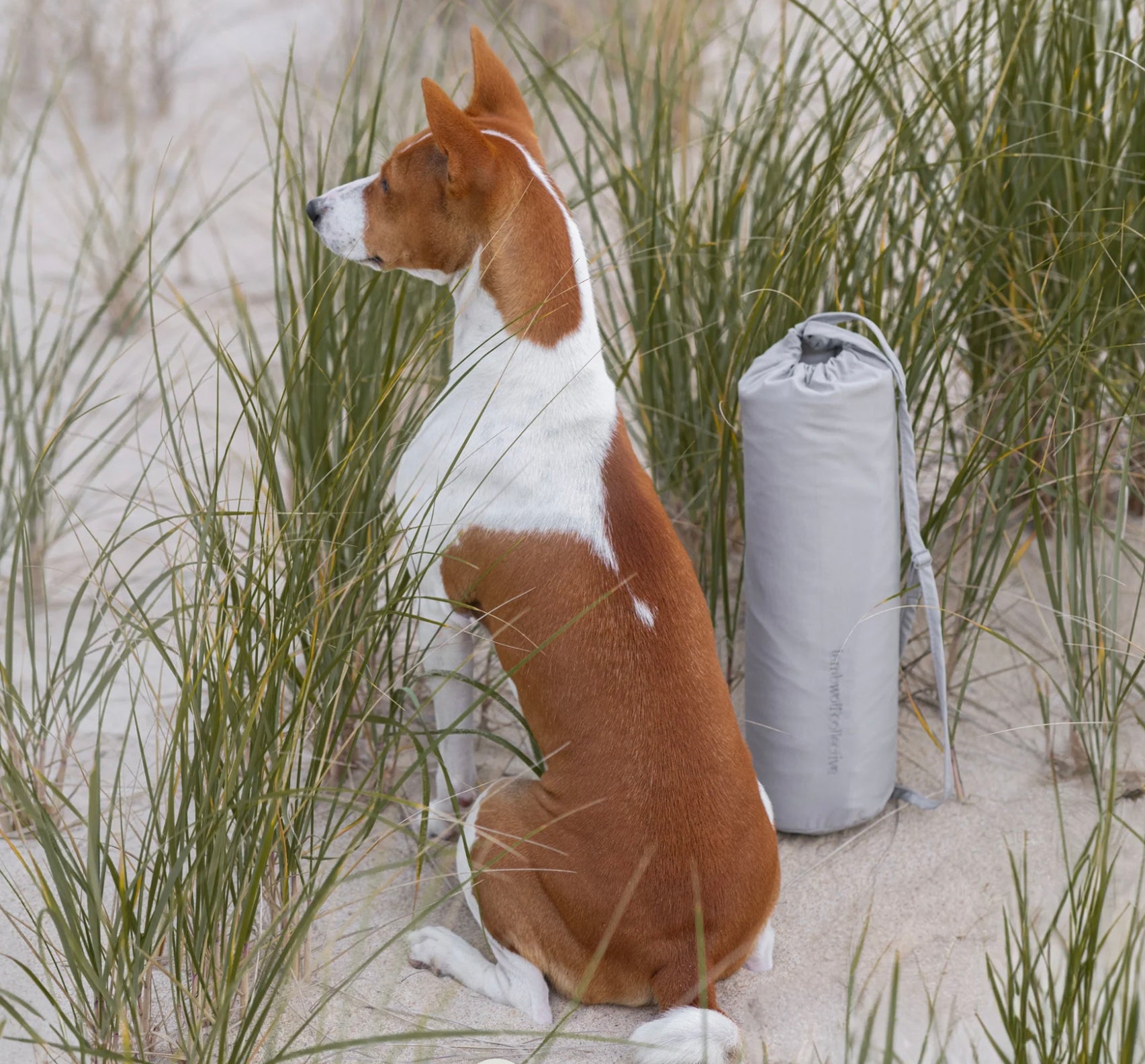 Lambwolf Collective ORII Ultraleichte Reisematte in S- L - BITANGELHOMES