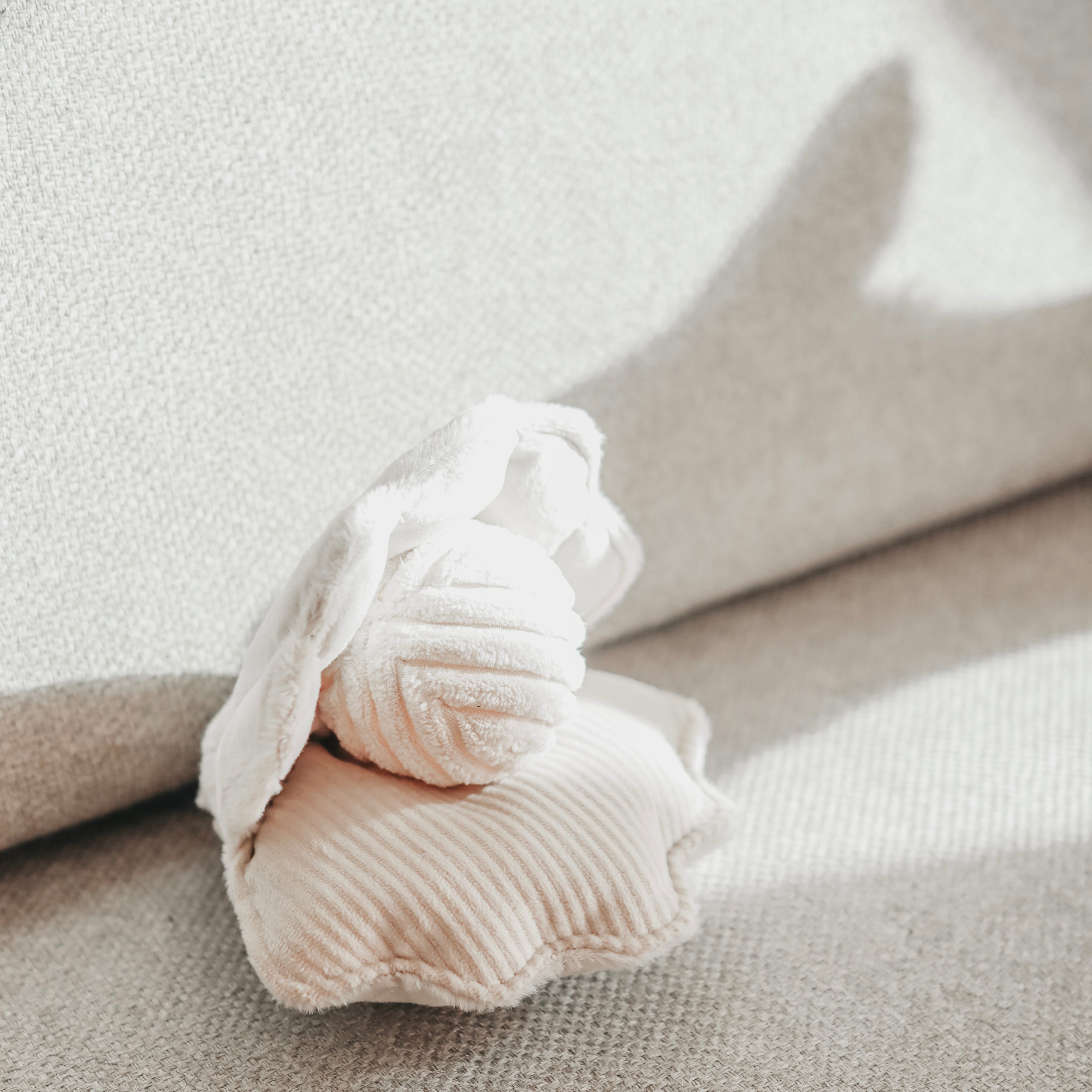 Lambwolf Collective Samt-Knister-Muschel & Kord-Quietsch-Ball & Schnüffelspielzeug - BITANGELHOMES