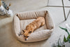 Austellungsstück Laboni exklusives Hundebett Bouclé/beige mit orthopädischer Matratze