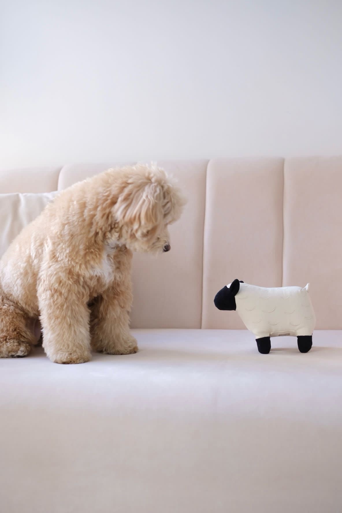 Lambwolf Collective Dolly Schaf Spielzeug mit Quietschfunktion - BITANGELHOMES