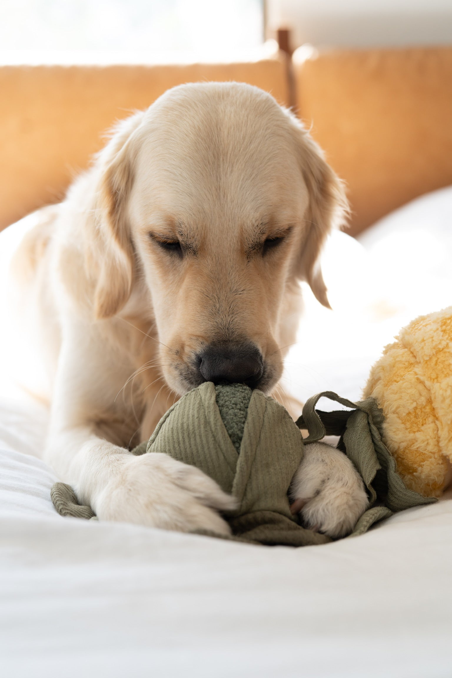 Lambwolf Collective POP-Knister-Kohl mit Boucle-Quietsch-Ball & Schnüffelspielzeug - BITANGELHOMES