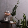Haoshi Katzen-LED-Leuchte ca. 29x23x14cm - Bitangel RENOVATE & FURNISH HOMES GmbH