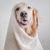 Lambwolf Collective Hunde-Fleece-Handtuch ca. 60x85cm in crem - Bitangel RENOVATE & FURNISH HOMES GmbH
