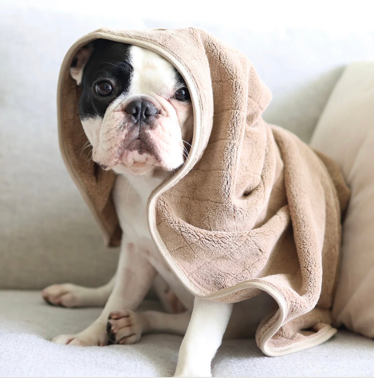 Lambwolf Collective Hunde-Fleece-Handtuch ca. 60x85cm in crem - Bitangel RENOVATE & FURNISH HOMES GmbH