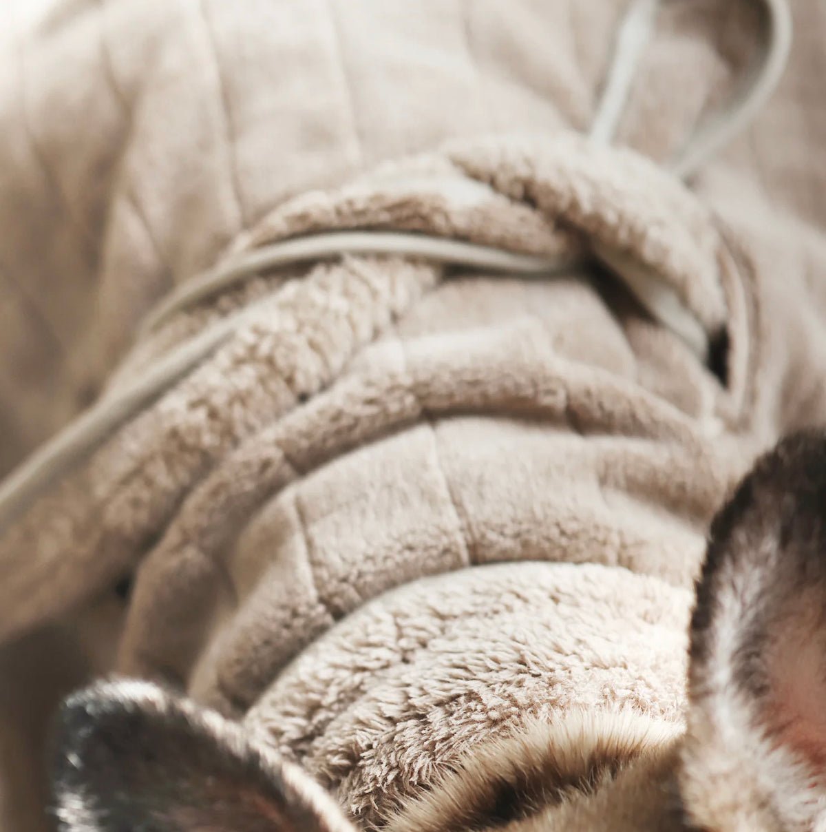 Lambwolf Collective Hunde-Fleecebademantel wahlweise in XS, S, M, L in - Bitangel RENOVATE & FURNISH HOMES GmbH