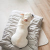 Lambwolf Collective MAATIN ultra entspannendes Hundebett mit Steppdecken-Bezug in Camel, wahlweise in S = 7kg, M = 13kg & L = 28kg - Bitangel RENOVATE & FURNISH HOMES GmbH