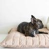 Lambwolf Collective MAATIN ultra entspannendes Hundebett mit Steppdecken-Bezug in Camel, wahlweise in S = 7kg, M = 13kg & L = 28kg - Bitangel RENOVATE & FURNISH HOMES GmbH