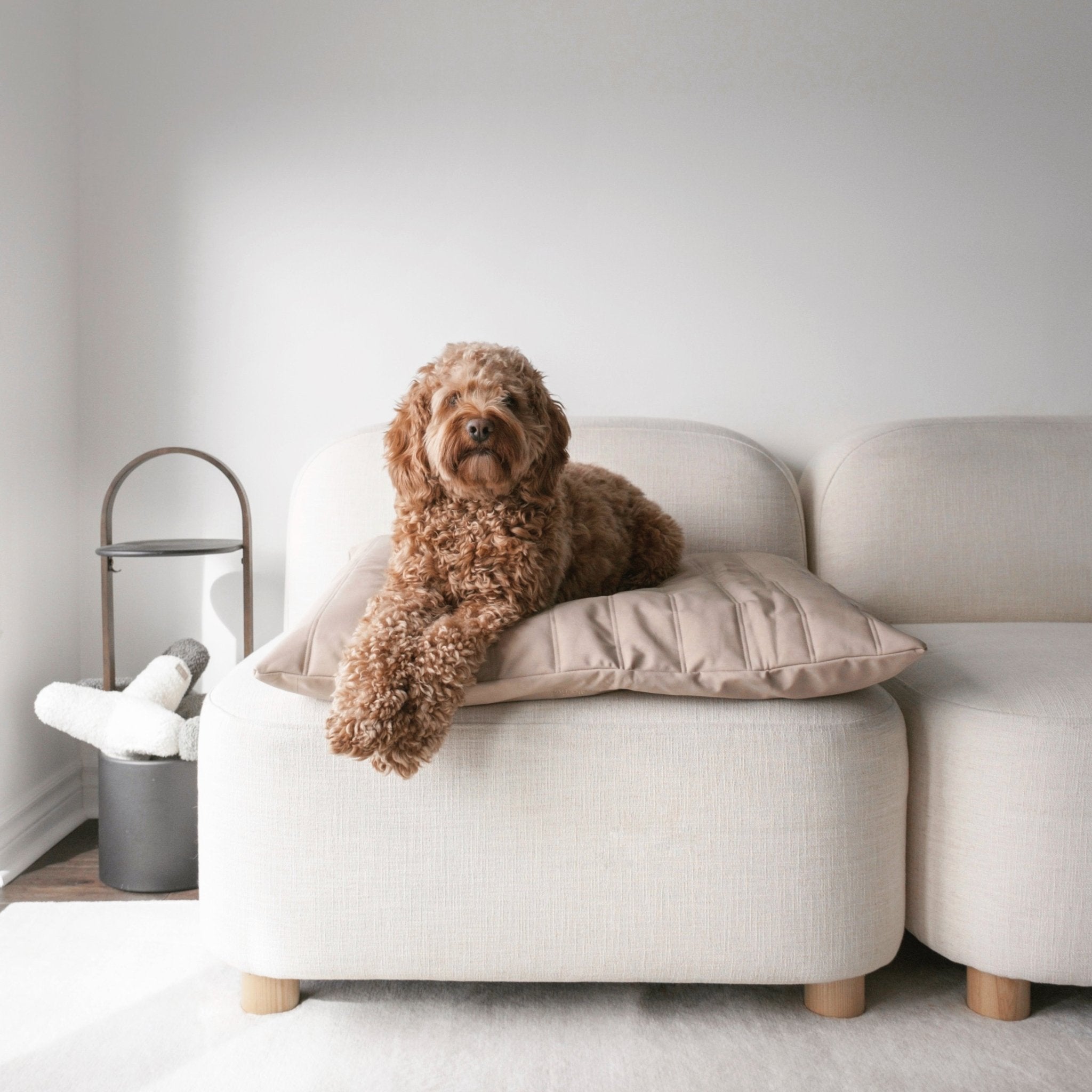 Lambwolf Collective MAATIN ultra entspannendes Hundebett mit Steppdecken-Bezug in Camel, wahlweise in S = 7kg, M = 13kg & L = 28kg - Bitangel RENOVATE & FURNISH HOMES GmbH