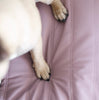 Lambwolf Collective MAATIN ultra entspannendes Hundebett mit Steppdecken-Bezug in Camel, wahlweise in S = 7kg, M = 13kg & L = 28kg - Bitangel RENOVATE & FURNISH HOMES GmbH