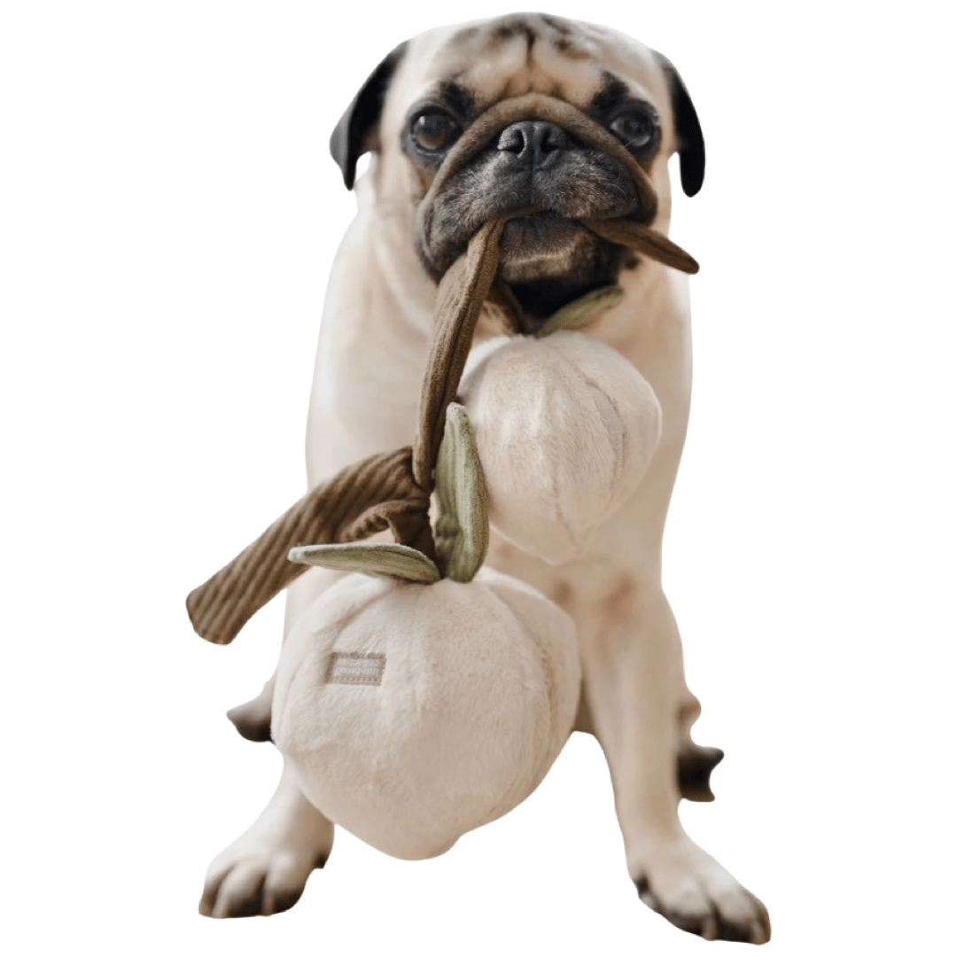 Lambwolf Collective MONO Samt-Pfirsich mit Quietscher und Schnüffelspielzeug ca. 8x20cm - Bitangel RENOVATE & FURNISH HOMES GmbH