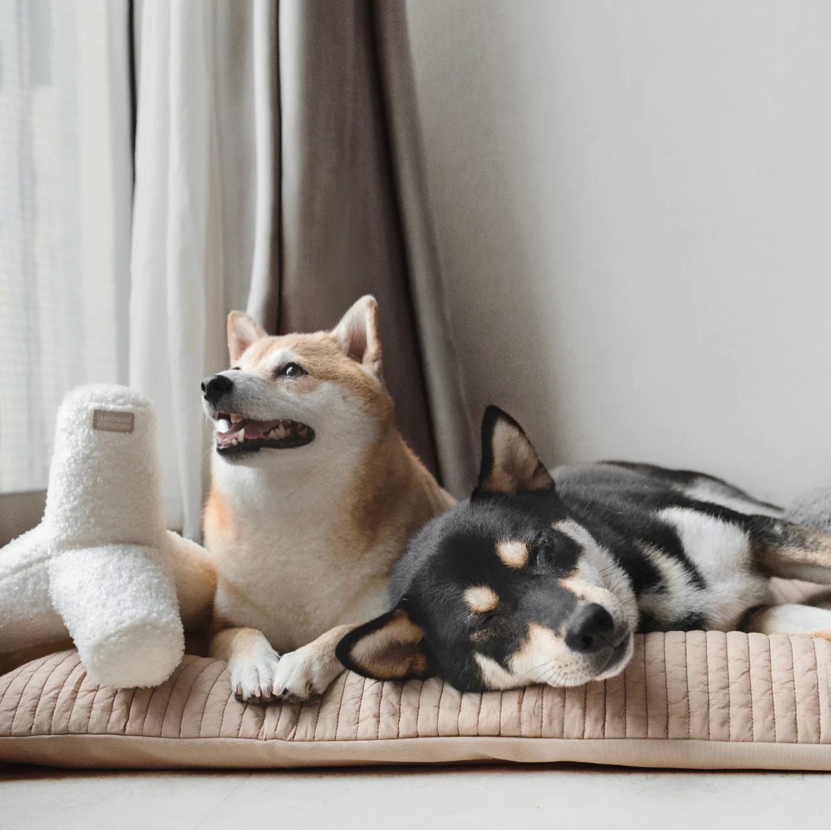 Lambwolf Collective O BREUER Mono-Boucle mit Quietscher wahlweise in Weiß & anthrazit ca. 9,5x24cm - Bitangel RENOVATE & FURNISH HOMES GmbH