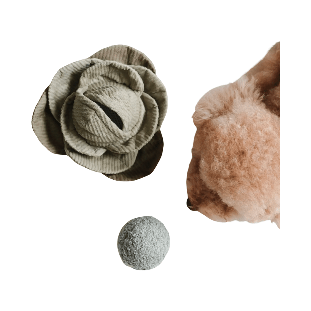 Lambwolf Collective POP-Knister-Kohl mit Boucle-Quietsch-Ball und Schnüffelspielzeug 19cm Durchmesser - Bitangel RENOVATE & FURNISH HOMES GmbH