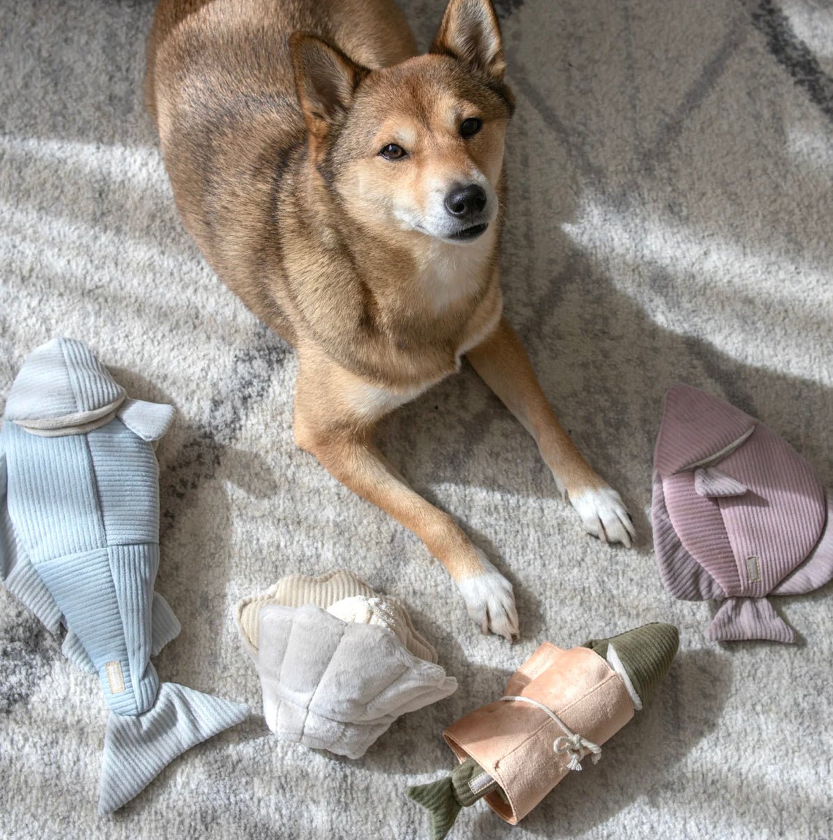 Lambwolf Collective POP Samt-Knister-Muschel mit Kord-Quietsch-Ball und Schnüffelspielzeug ca. 15x15x18cm - Bitangel RENOVATE & FURNISH HOMES GmbH