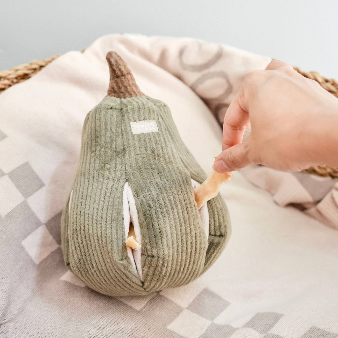 Lambwolf Collective Schnüffel-Butternut-Kürbis mit Quietscher & Leckerchen-Versteck-Spalten wahlweise in S & L - Bitangel RENOVATE & FURNISH HOMES GmbH