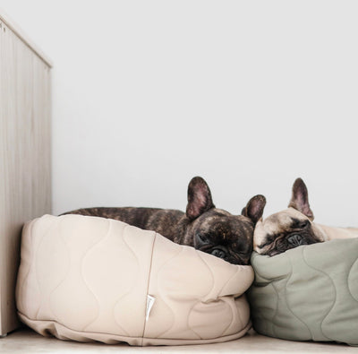 Lambwolf Collective TAART ultraweiches Dounat-Bett für Hunde oder Katzen in Camel zum wenden - Bitangel RENOVATE & FURNISH HOMES GmbH