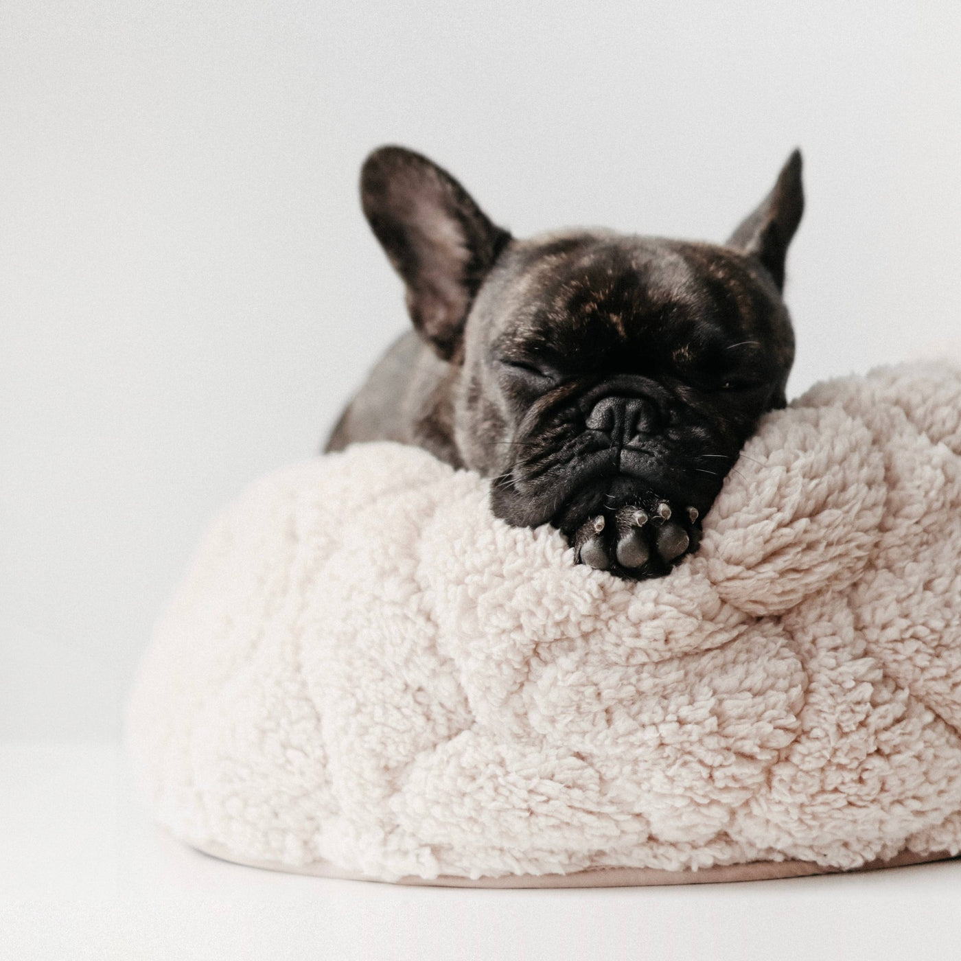 Lambwolf Collective TAART ultraweiches Dounat-Bett für Hunde oder Katzen in Camel zum wenden - Bitangel RENOVATE & FURNISH HOMES GmbH
