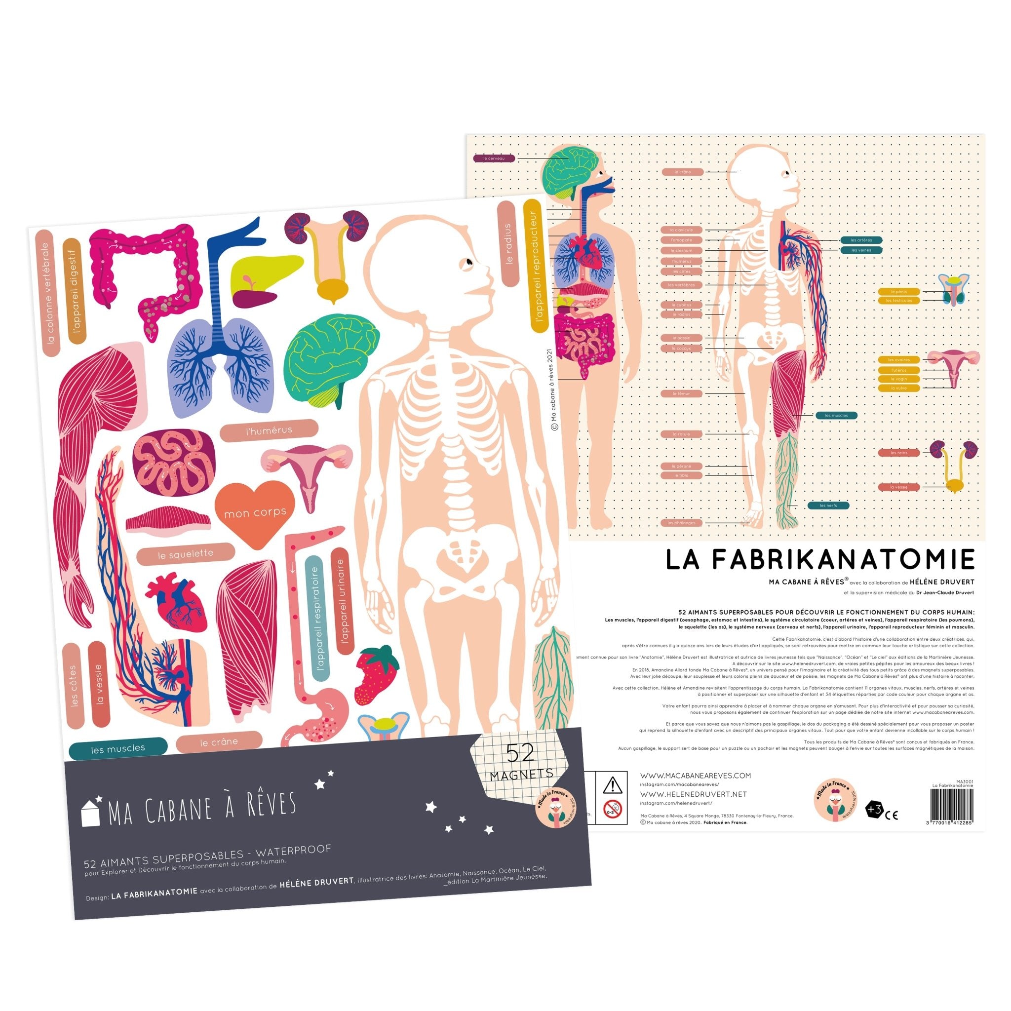 Ma Cabane à Rêves 51 Magnete La Fabrikanatomie ,,englische Version‘‘ Menschliche Körper - Bitangel RENOVATE & FURNISH HOMES GmbH