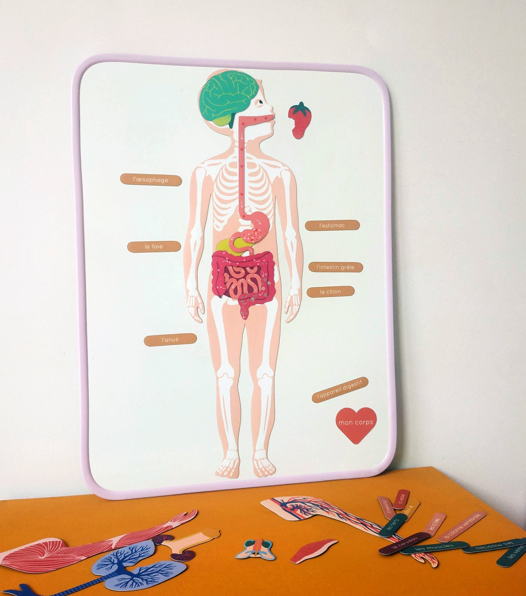 Ma Cabane à Rêves Magnettafel in verschiedenen Farben: koralle, mint, schwarz, Anis, lilla 30x40 cm - Bitangel RENOVATE & FURNISH HOMES GmbH