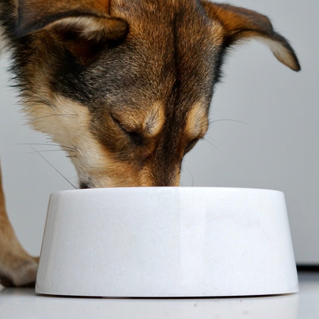 Studio ANIMAUX Marmor-Napf in weiß für Hunde & Katzen in ca. 23cm & 19cm Durchmesser - Bitangel RENOVATE & FURNISH HOMES GmbH